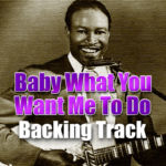 Read more about the article Baby What You Want Me To Do – Backing Track Blues – 95bpm