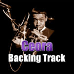 Read more about the article Ceora Backing Track Jazz Bossa Nova – 126bpm