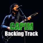 Read more about the article Capim Backing Track Samba – 175bpm