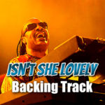 Read more about the article Isn’t She Lovely Backing Track Pop Swing – 120bpm