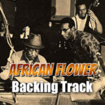 Read more about the article African Flower Backing Track Latin Jazz – 120bpm