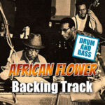 Read more about the article African Flower DRUM AND BASS Backing Track Latin Jazz – 120bpm